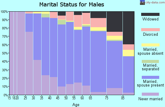 Zip code 19063 marital status for males