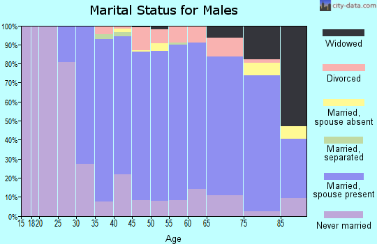Zip code 19064 marital status for males