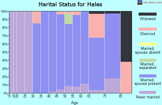 Zip code 19066 marital status for males