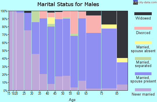 Zip code 19070 marital status for males