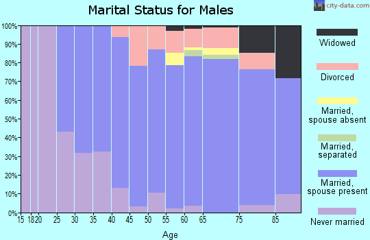 Zip code 19072 marital status for males