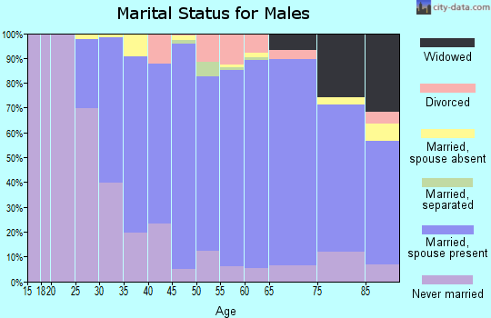 Zip code 19073 marital status for males