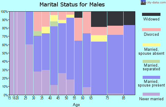 Zip code 19074 marital status for males