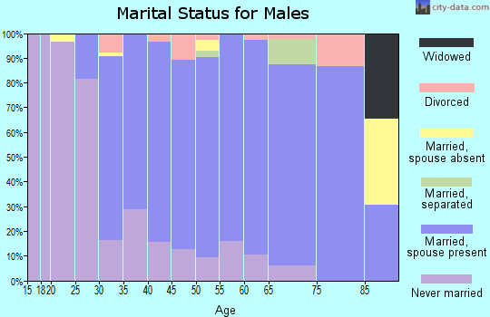 Zip code 19075 marital status for males
