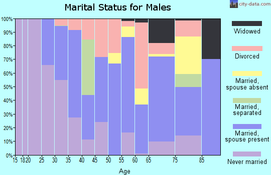 Zip code 19076 marital status for males