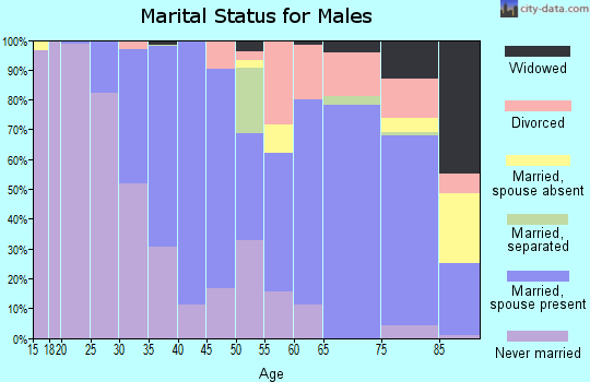 Zip code 19078 marital status for males