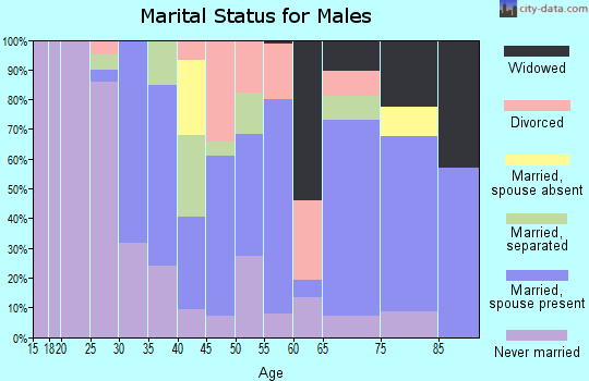 Zip code 19079 marital status for males