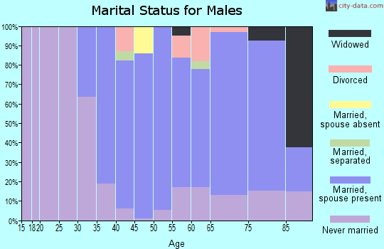 Zip code 19085 marital status for males
