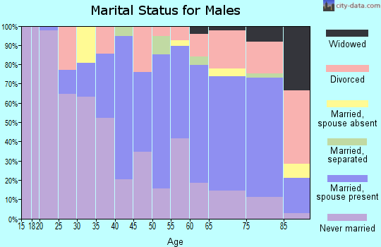 Zip code 19095 marital status for males