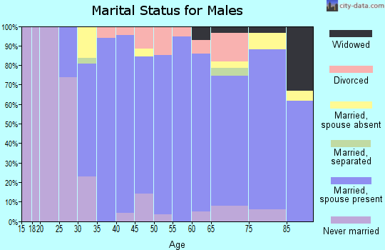 Zip code 19096 marital status for males