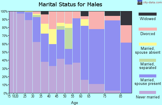 Zip code 19106 marital status for males