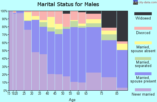 Zip code 19111 marital status for males