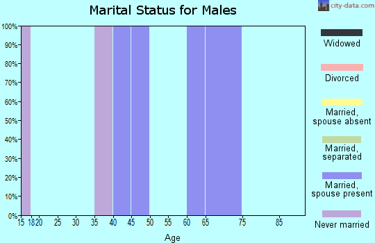 Zip code 19113 marital status for males