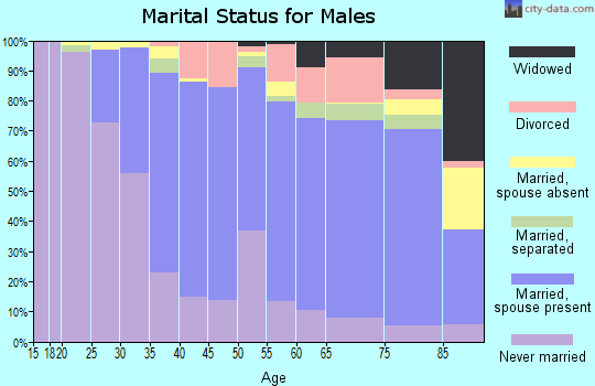 Zip code 19116 marital status for males