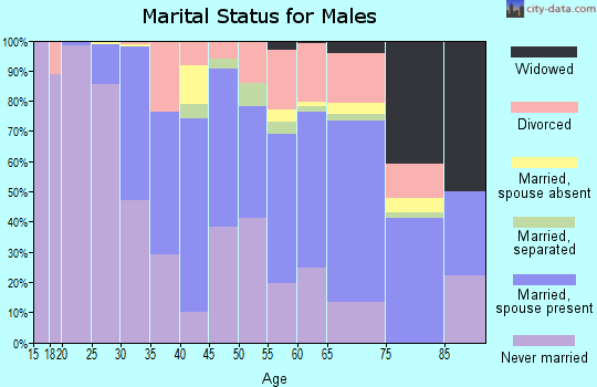 Zip code 19119 marital status for males