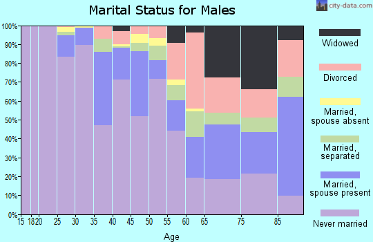 Zip code 19121 marital status for males