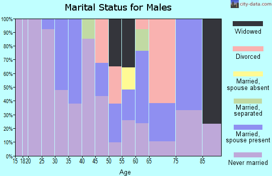 Zip code 19127 marital status for males