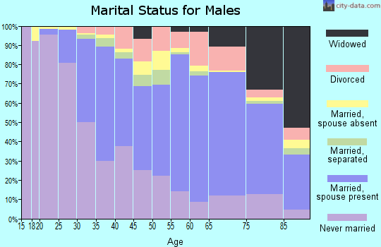 Zip code 19128 marital status for males