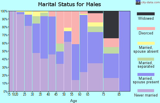 Zip code 19129 marital status for males