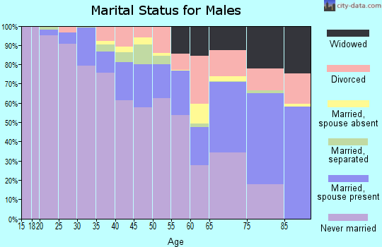 Zip code 19133 marital status for males