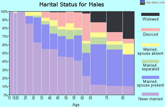 Zip code 19143 marital status for males