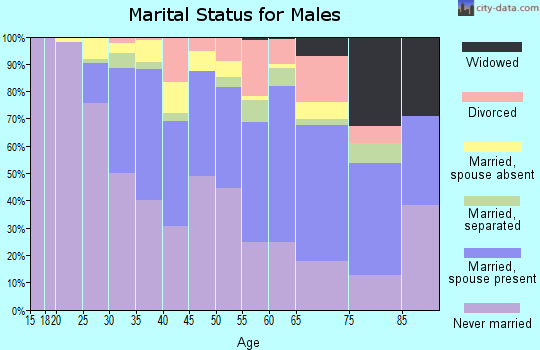 Zip code 19147 marital status for males