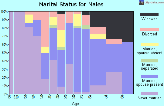 Zip code 19153 marital status for males