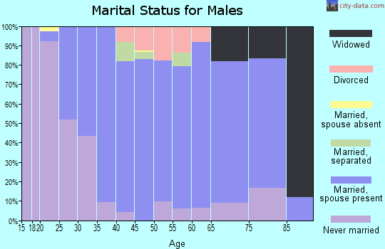 Zip code 19310 marital status for males