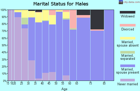 Zip code 19311 marital status for males