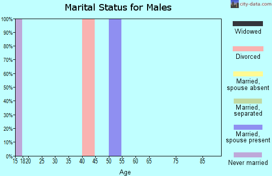 Zip code 19316 marital status for males
