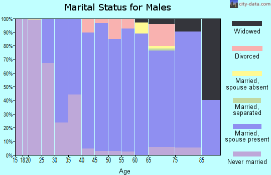 Zip code 19317 marital status for males