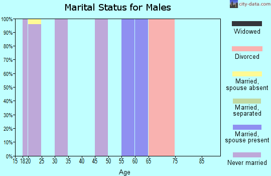 Zip code 19319 marital status for males