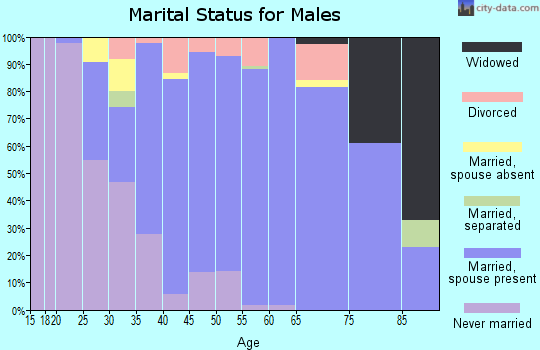 Zip code 19330 marital status for males