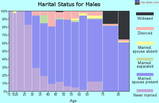 Zip code 19342 marital status for males
