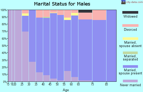Zip code 19343 marital status for males