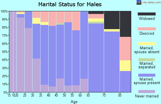 Zip code 19344 marital status for males