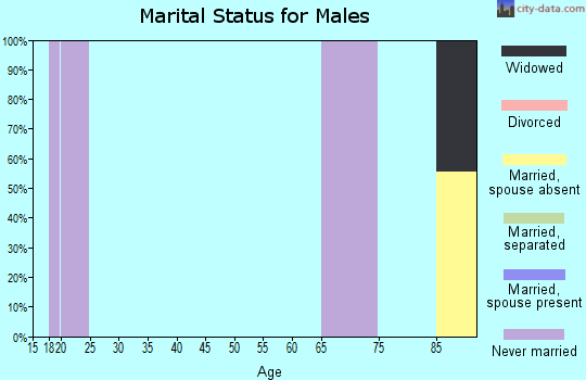 Zip code 19345 marital status for males