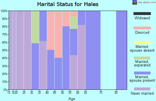Zip code 19358 marital status for males