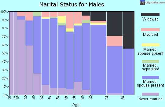 Zip code 19363 marital status for males
