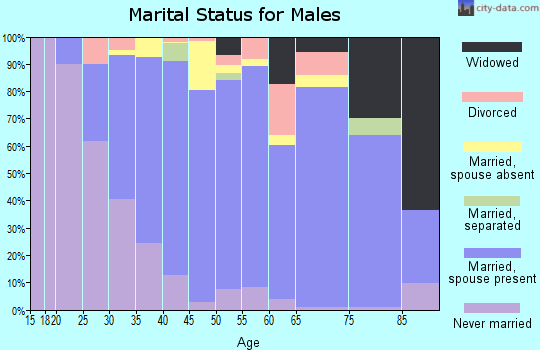 Zip code 19365 marital status for males