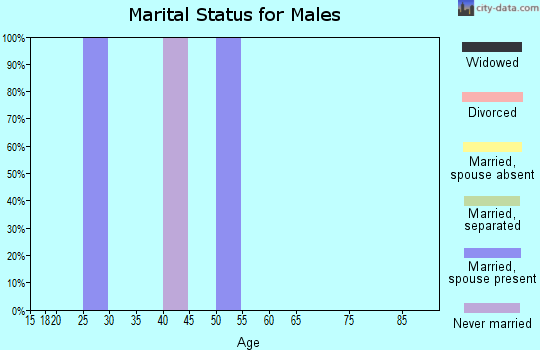 Zip code 19367 marital status for males