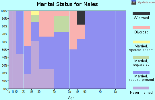 Zip code 19369 marital status for males