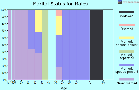 Zip code 19372 marital status for males
