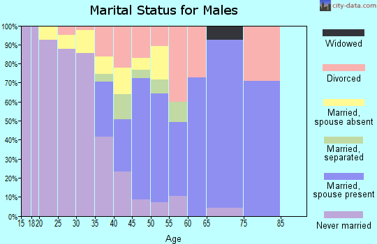 Zip code 19373 marital status for males
