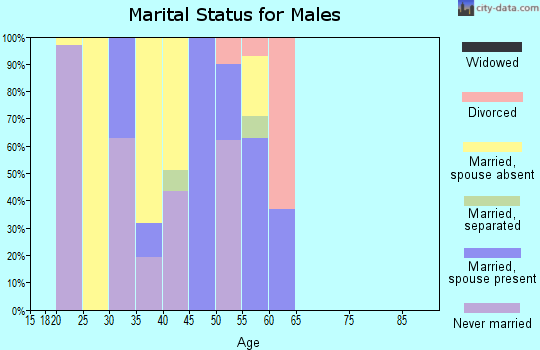 Zip code 19374 marital status for males