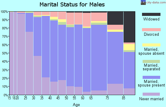 Zip code 19382 marital status