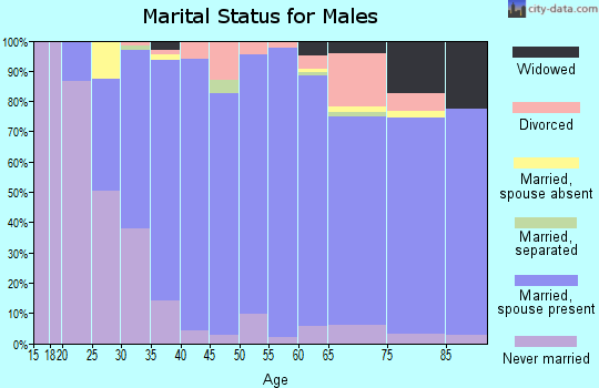 Zip code 19390 marital status for males
