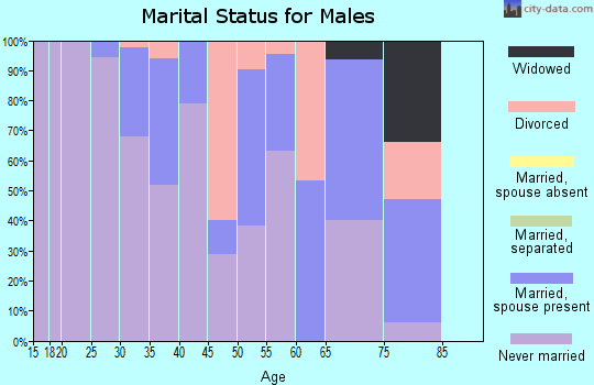 Zip code 19405 marital status for males