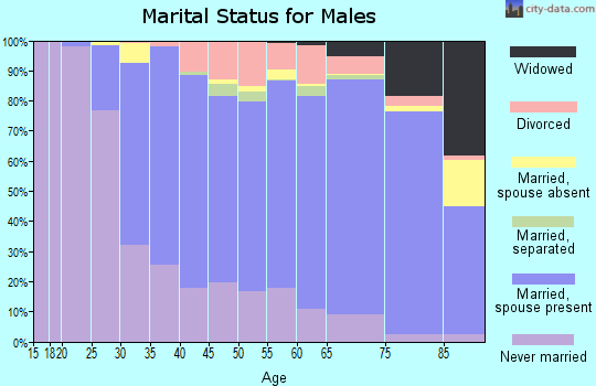 Zip code 19406 marital status for males