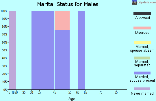 Zip code 19421 marital status for males